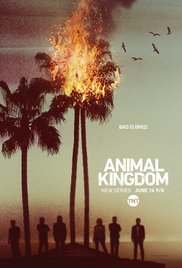 Watch Free Animal Kingdom