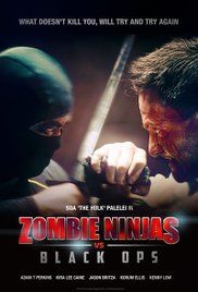 Watch Free Zombie Ninjas vs Black Ops (2015)